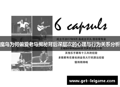 魔鸟为何偏爱老马揭秘背后深层次的心理与行为关系分析